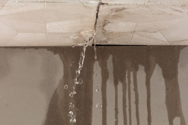 Professional Burst Pipe Cleanup technician working in Dexter, GA